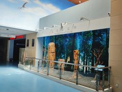 -延庆地质公园博物馆