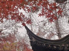 -秋霞圃