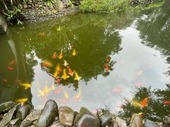 -海南文笔峰盘古文化旅游区