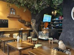 -猫猫幼稚园·撸猫·桌游·电玩