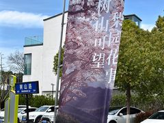 -树山生态村