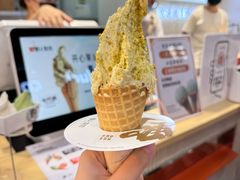 -野人先生现做冰淇淋(西安赛格店)