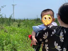-汕尾风车岛