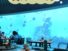 -海棠湾洲际-涛·海底餐厅·美人鱼·自助餐·海底隧道
