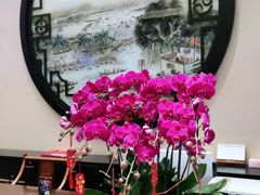 -顺德渔村·岭南一号