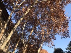-春庄咖啡SpringHues(钟楼小区店)