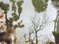 -杭州西湖柳莺里酒店