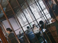 -柴门头啖汤·经典川菜·慢火汤品(锦城万达店)