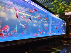 -阳光院坝小龙虾(红牌楼店)