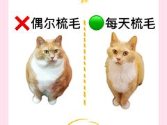 -守诺宠物医院·眼科· 特色牙科·异宠专科(虹口店)