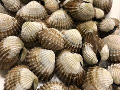 -华盛丰温州大排档(东三环南路店)