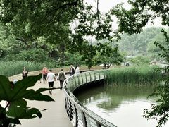 -红梅公园
