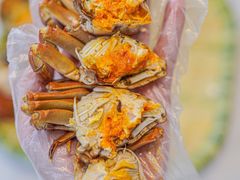 -蟹天蟹地农家菜·阳澄湖大闸蟹(浅水湾店)