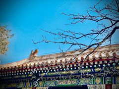 -故宫博物院(故宫)