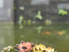 -瑞丰园庭院餐厅·白族传统家常菜
