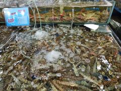 -东江海鲜酒家(艺都分店)