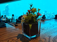 -海棠湾洲际-涛·海底餐厅·美人鱼·自助餐·海底隧道