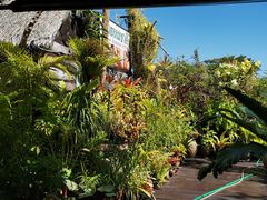 -自然餐厅(Phuket)