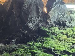 -陶祖圣境风景区