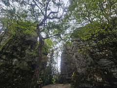 -山王坪喀斯特国家生态公园