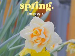 -杭州植物园