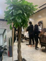 -IN STYLE·全国形象店