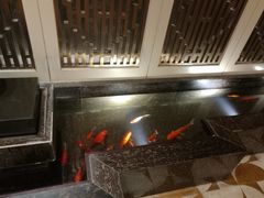 大堂-苏浙汇(朝外店)