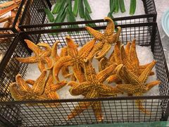-长沙三景韦尔斯利酒店·Oval全日制餐厅自助餐