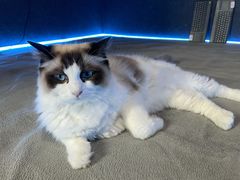 -零纪元VR体验馆·桌游(黄浦店)