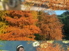 -云溪植物园