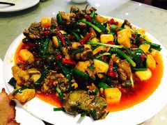 饵块鸡-红豆园(文林街店)