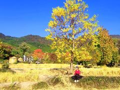 -塔川景区