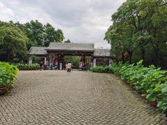 -上海海湾国家森林公园