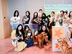 -帕帕拉兹宠物(亚洲旗舰店)