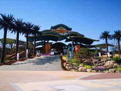 -苏州乐园森林水世界