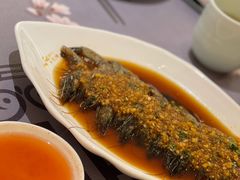 -大浪潮·潮汕菜·招牌生腌小青龙(福田店)
