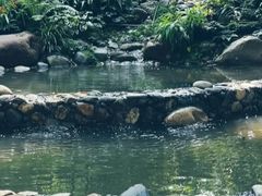 -成都市活水公园