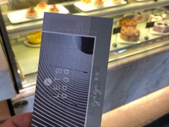 -gaga(深圳福田星河COCO Park店)