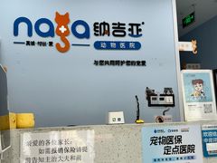 -纳吉亚猫专科动物诊疗中心(蒋宅口分院)