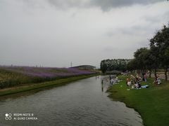 -迪茵湖田家舍生态农场