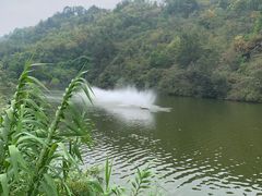 -重庆园博园