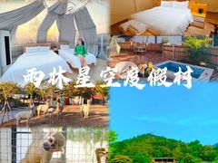 -南丹山森林王国