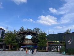 -杭州开元森泊度假乐园