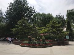 -文瀛公园
