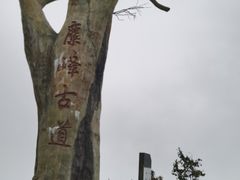 -长沙黑麋峰国家森林公园