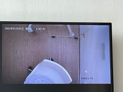 -海豚湾高端月子会所(黄浦店)