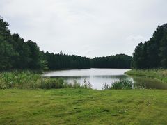 -上海海湾国家森林公园