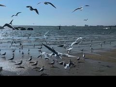 -老虎石海上公园