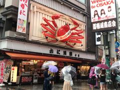 -蟹道乐(道顿堀本店)