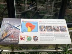 -石排湾郊野公园